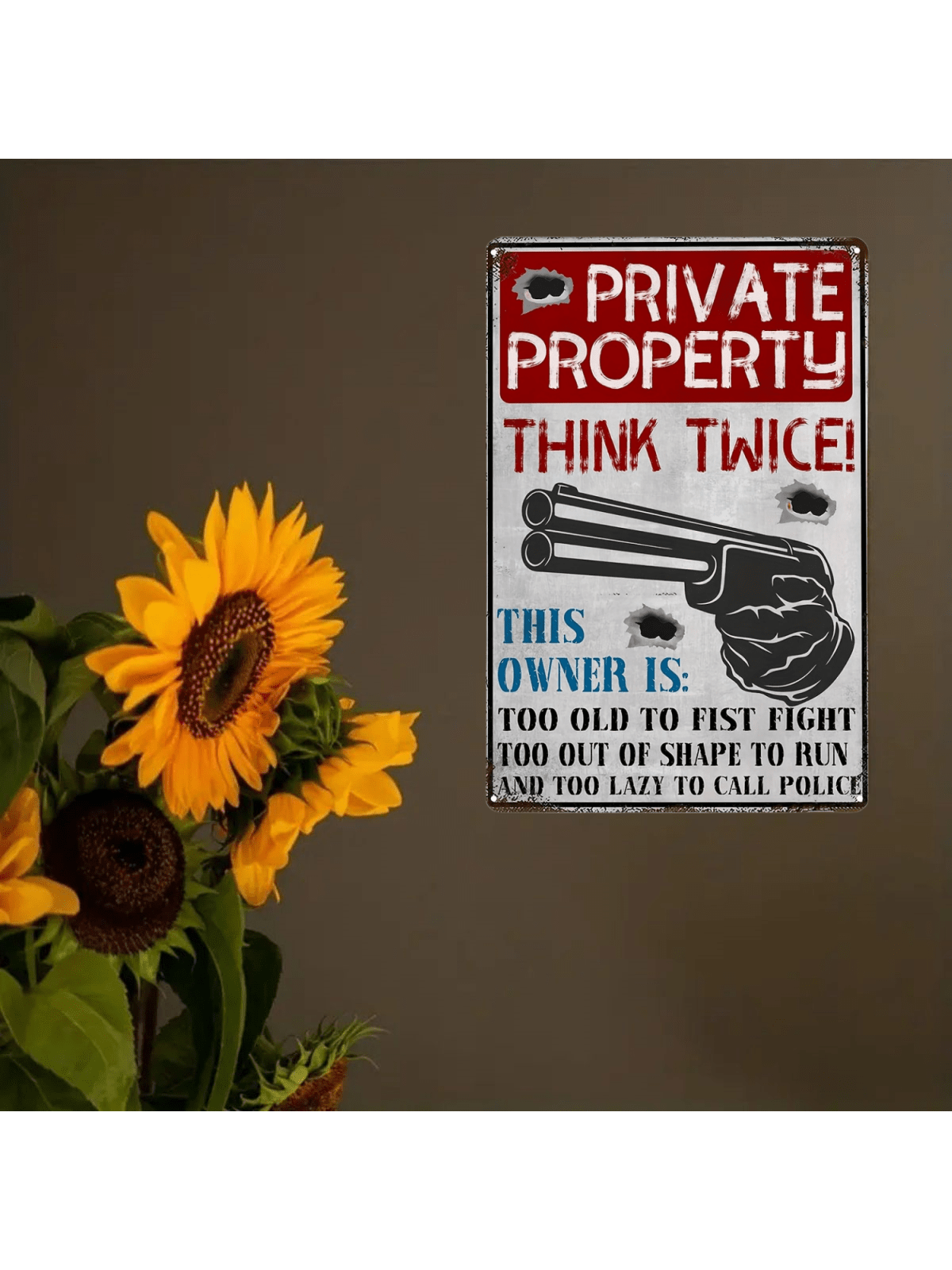 1pc Retro Metal Sign - Private Property Warning For Home, Restaurant, Bar, Cafe, Garage - Rustic Style Wall Decor Plaque Suitable For Indoor/Outdoor Use 8*12in