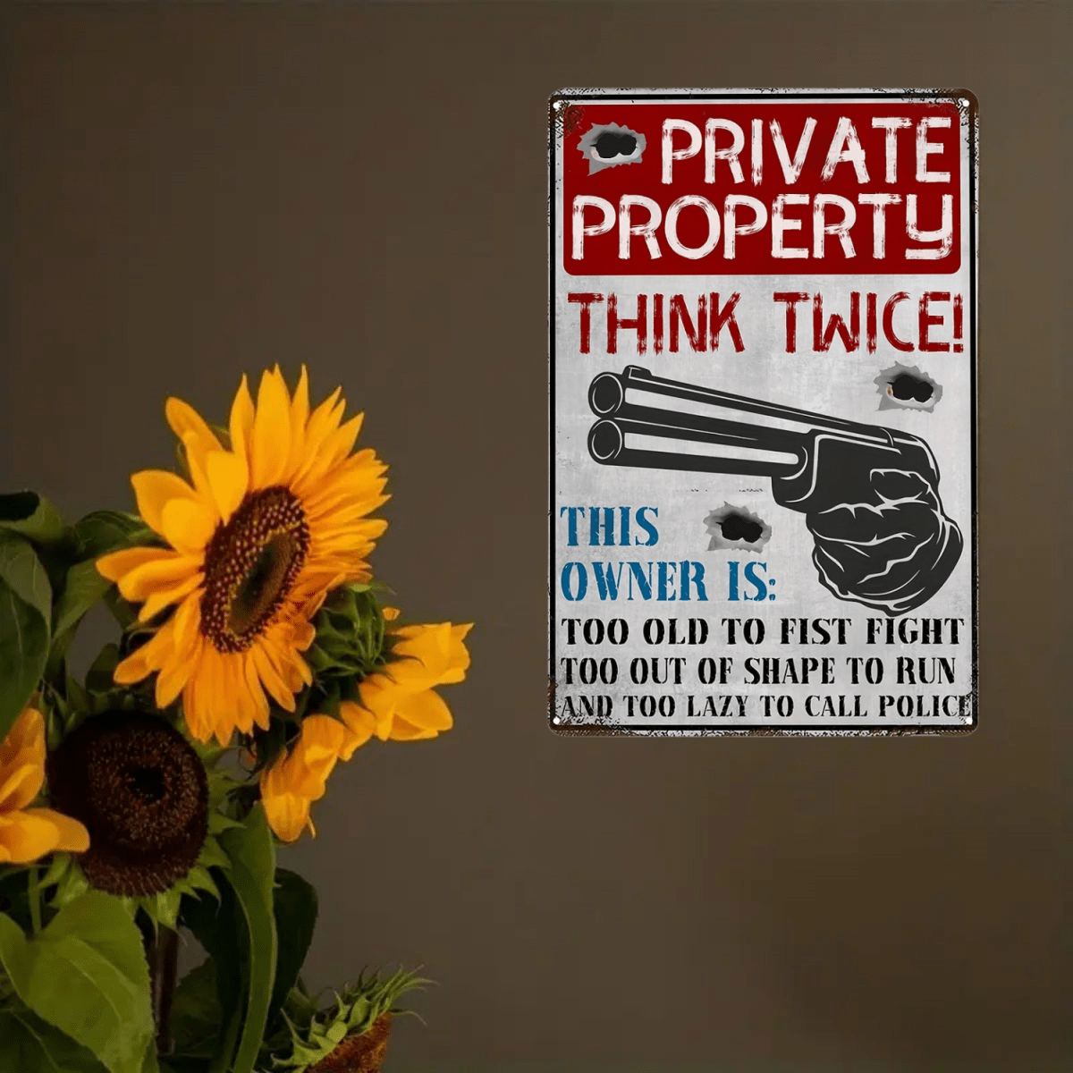 1pc Retro Metal Sign - Private Property Warning For Home, Restaurant, Bar, Cafe, Garage - Rustic Style Wall Decor Plaque Suitable For Indoor/Outdoor Use 8*12in